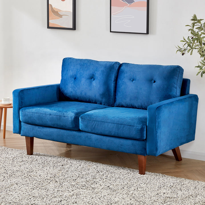 Basilio Velvet Loveseat with Tufted Back Cushions